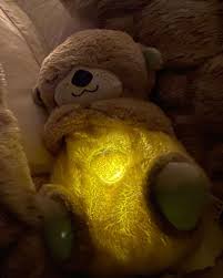 Peluche Nutria Anti Ansiedad